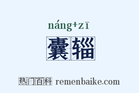 囊辎是什么意思的图片